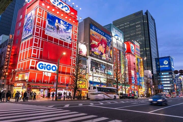 Tokyo Private Customized Day Tour — photo 4