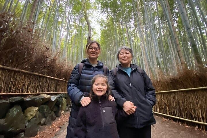 Kyoto Top 4 Sights in 6 Hour Private Walking Tour with Guide — photo 7