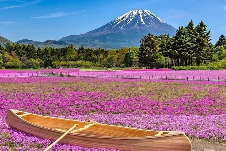 Mount Fuji & Fuji Shibazakura Festival One Day Trip From Tokyo — photo 5