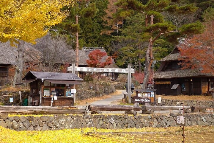 Mount Fuji & Fuji Shibazakura Festival One Day Trip From Tokyo — photo 14