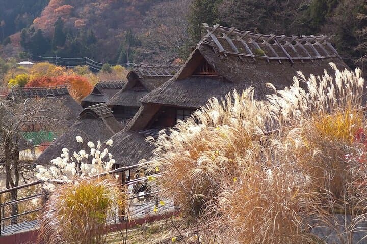 Mount Fuji & Fuji Shibazakura Festival One Day Trip From Tokyo — photo 15