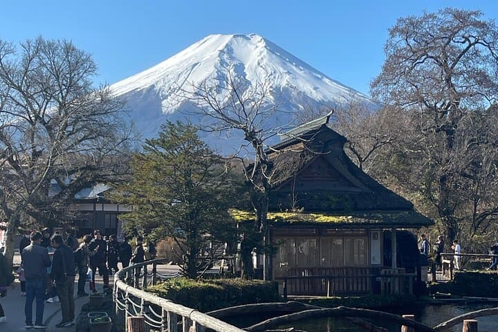 Mount Fuji Full Day Customizable Private Tour with English Guide — photo 6