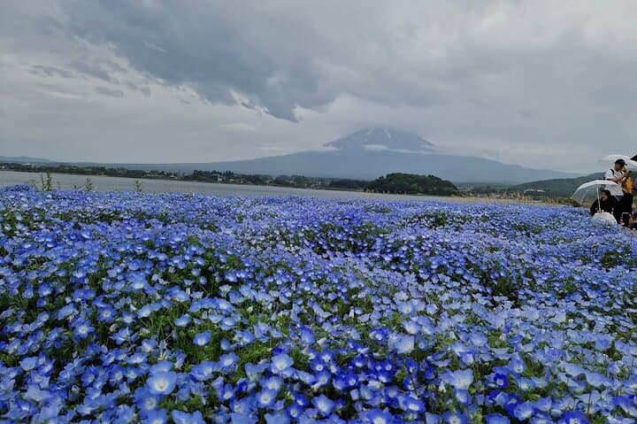 Mount Fuji Full Day Customizable Private Tour with English Guide — photo 19