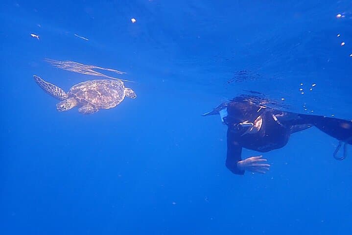 Discover Ishigaki's Hidden Treasures Snorkeling Tour at BlueCave — photo 4