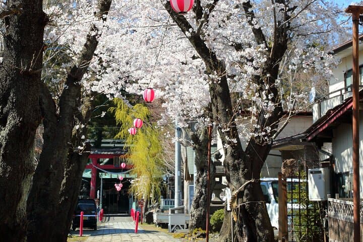Horse Carriage Ride with Mt. Fuji Views — photo 2
