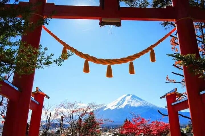 Private Car Tour to Mt. Fuji Lake Kawaguchiko — photo 7