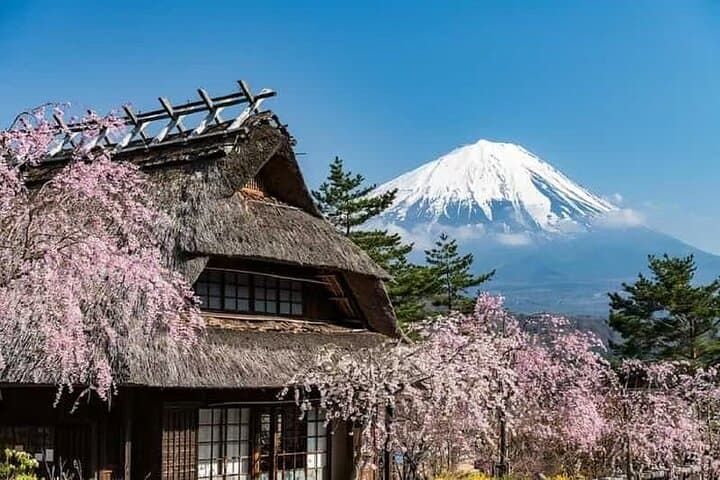 Private Car Tour to Mt. Fuji Lake Kawaguchiko — photo 8