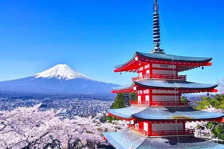 Private Car Tour to Mt. Fuji Lake Kawaguchiko — photo 6