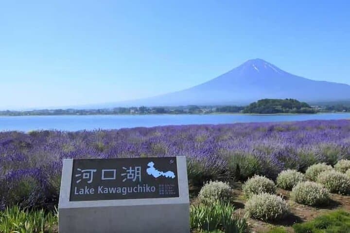 Private Car Tour to Mt. Fuji Lake Kawaguchiko — photo 2