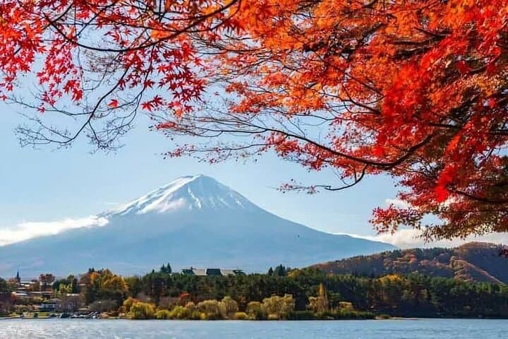 Private Car Tour to Mt. Fuji Lake Kawaguchiko — photo 4