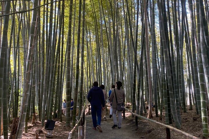 From Osaka to Kyoto for a Day of Culture and History — photo 12