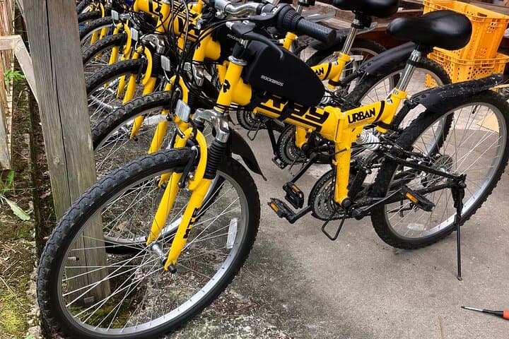 Afternoon Cycling Tour in Naruko — photo 8