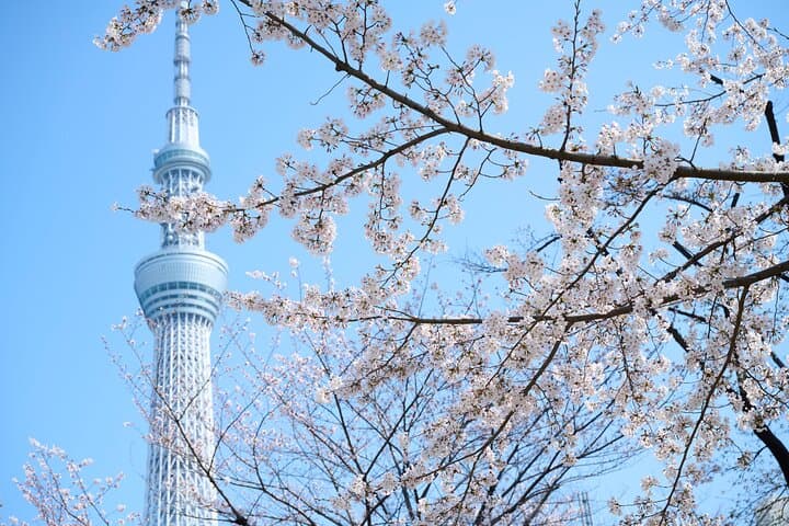 Tokyo Skytree Admission Ticket with Tembo Deck and Galleria — photo 7