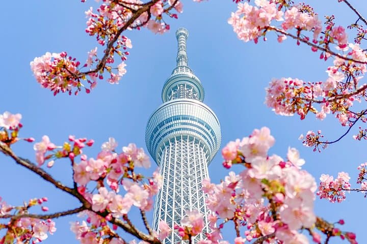 Tokyo Skytree Admission Ticket with Tembo Deck and Galleria — photo 3