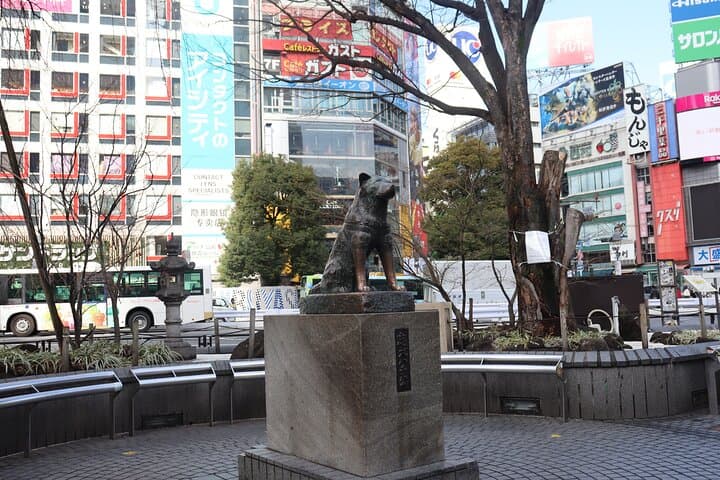 Private Tokyo Early Morning Tour (English & Spanish Available) — photo 11
