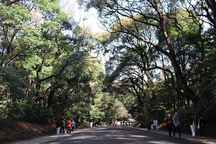 Private Tokyo Early Morning Tour (English & Spanish Available) — photo 14