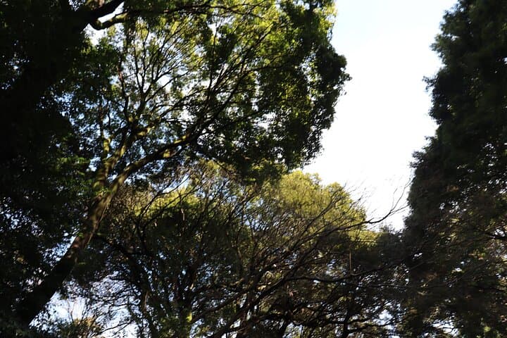 Private Tokyo Early Morning Tour (English & Spanish Available) — photo 15