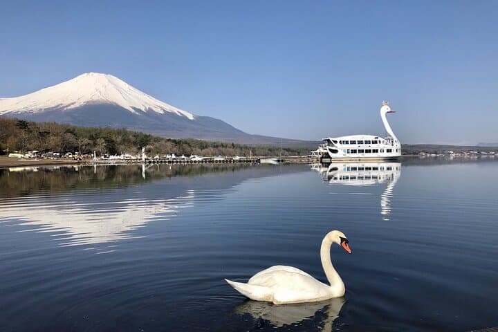 From Tokyo: Mt Fuji Lawson & Mt. Fuji Iconic Lakes 1-Day Bus Tour — photo 7
