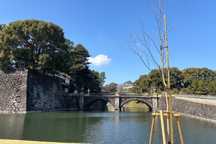 Imperial Palace and East Gardens Private Walking Tour in Tokyo — photo 4