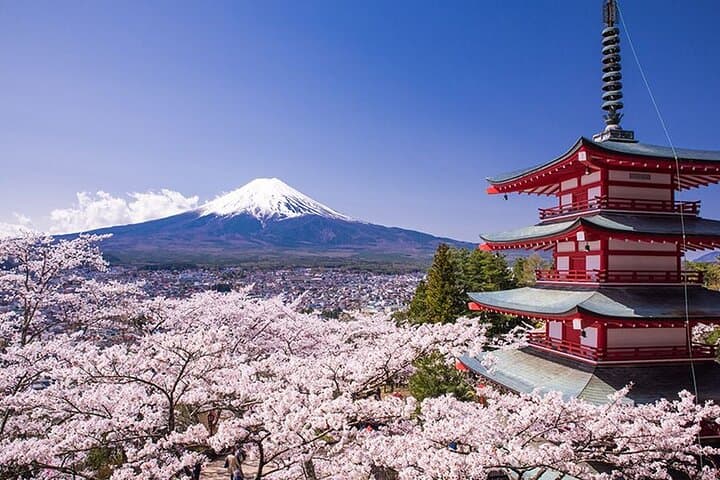 Tokyo Mount Fuji and Hakone Private Day Tour