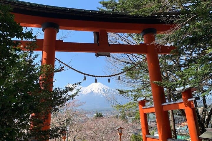 Tokyo Mount Fuji and Hakone Private Day Tour — photo 5