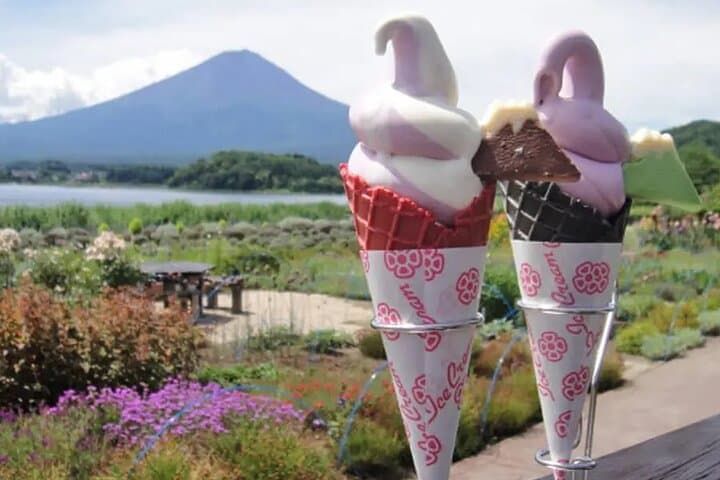 Tokyo Mount Fuji and Hakone Private Day Tour — photo 4