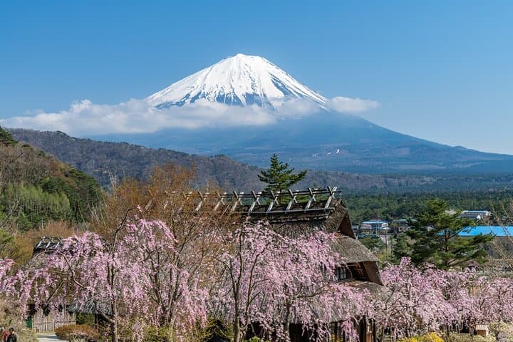 Tokyo Mount Fuji and Hakone Private Day Tour — photo 7