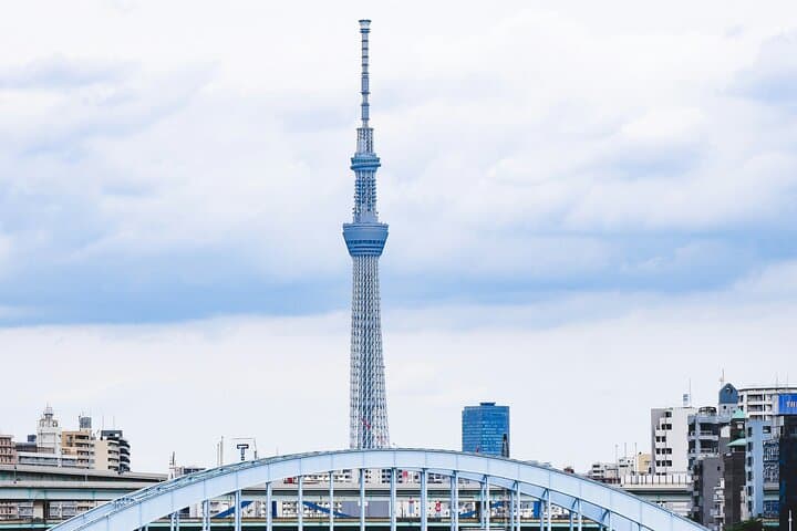 Tokyo Private DayTour: Discover best of Japan’s Capital — photo 2