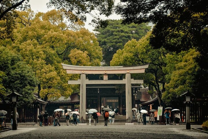 Tokyo Private DayTour: Discover best of Japan’s Capital — photo 3