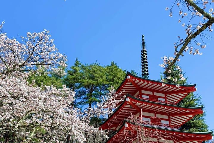 Mount Fuji 5th Station, Oshino Hakkai and Swan Lake Day Tour — photo 8