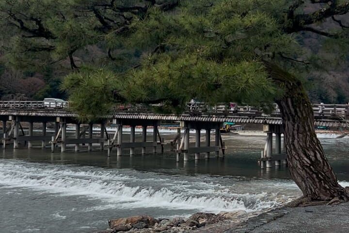Zen Run in Arashiyama — photo 4