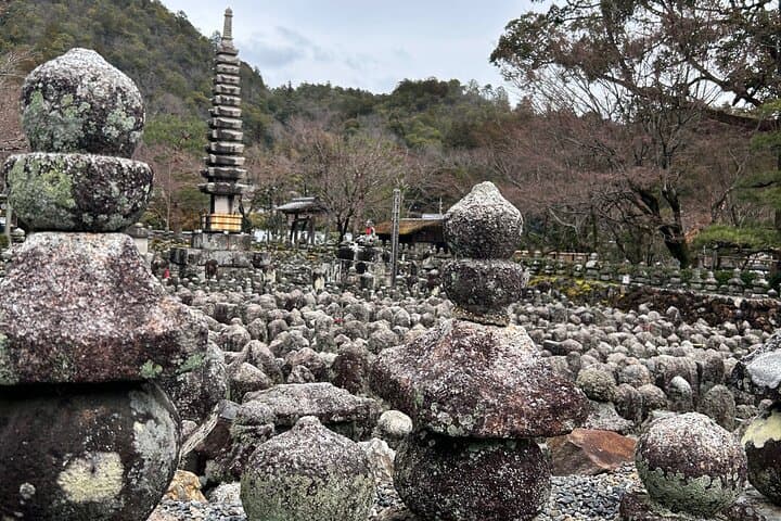 Zen Run in Arashiyama — photo 5
