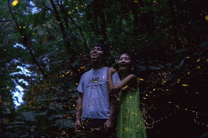 【March-June】Firefly Viewing & Stargazing tour with Official Guide — photo 5