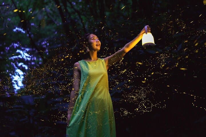 【March-June】Firefly Viewing & Stargazing tour with Official Guide — photo 6