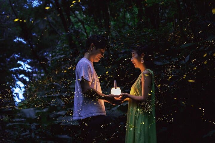 【March-June】Firefly Viewing & Stargazing tour with Official Guide — photo 8