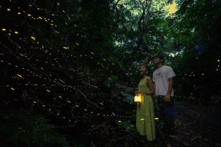 【March-June】Firefly Viewing & Stargazing tour with Official Guide — photo 7