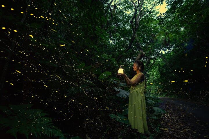【March-June】Firefly Viewing & Stargazing tour with Official Guide — photo 11