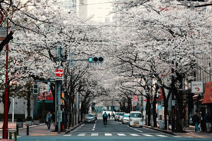 Tokyo Private DayTour: Discover best of Japan’s Capital — photo 7