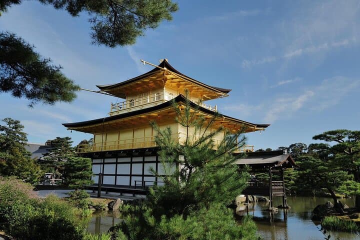 Kyoto Early Bird Tour Tokyo Round or One Way Shinkansen — photo 7