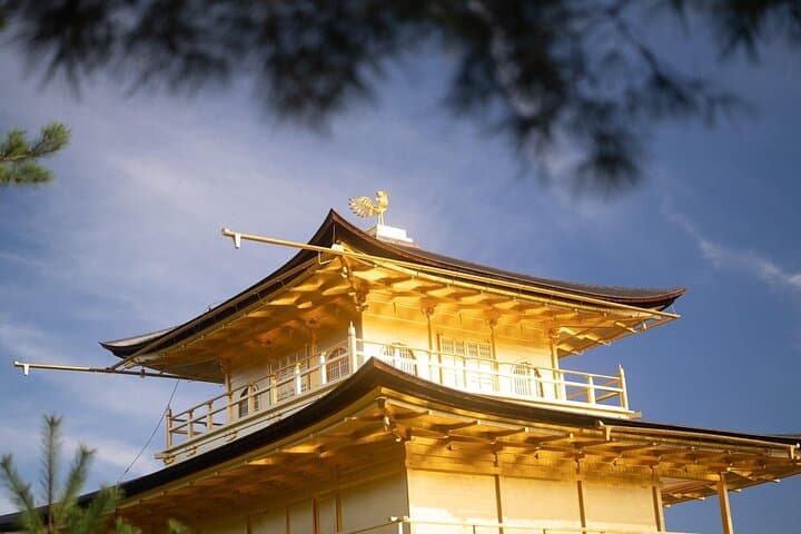 Kyoto Early Bird Tour Tokyo Round or One Way Shinkansen — photo 12