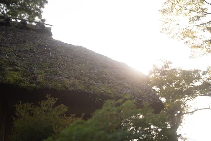 Kyoto Early Bird Tour Tokyo Round or One Way Shinkansen — photo 14