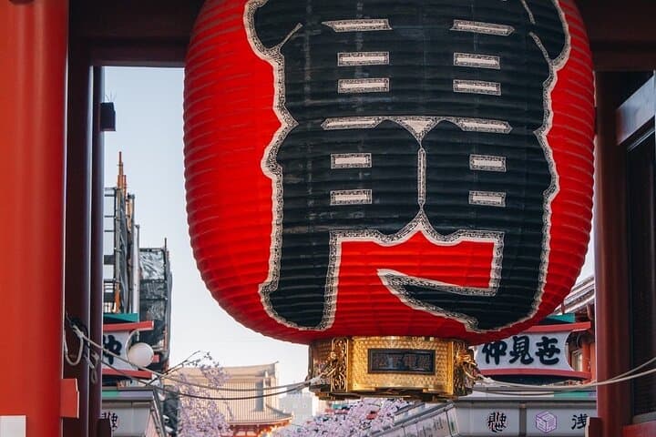 Tokyo Early Morning Tour Asakusa Meiji Shrine (Private Opt) — photo 11
