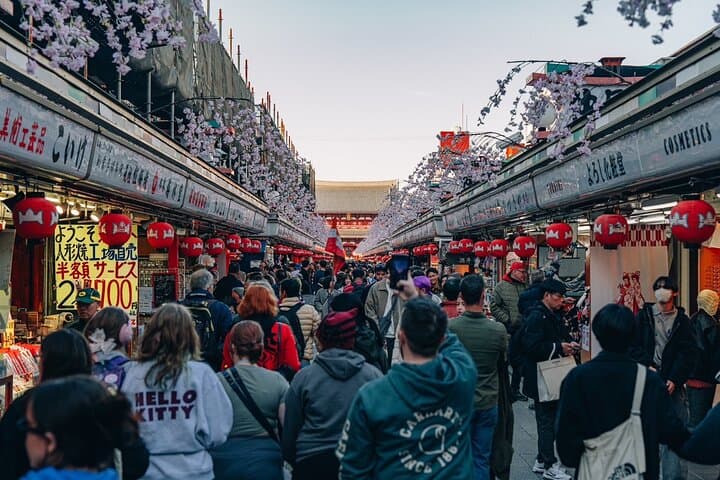 Tokyo Early Morning Tour Asakusa Meiji Shrine (Private Opt) — photo 10