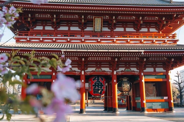 Tokyo Early Morning Tour Asakusa Meiji Shrine (Private Opt) — photo 1