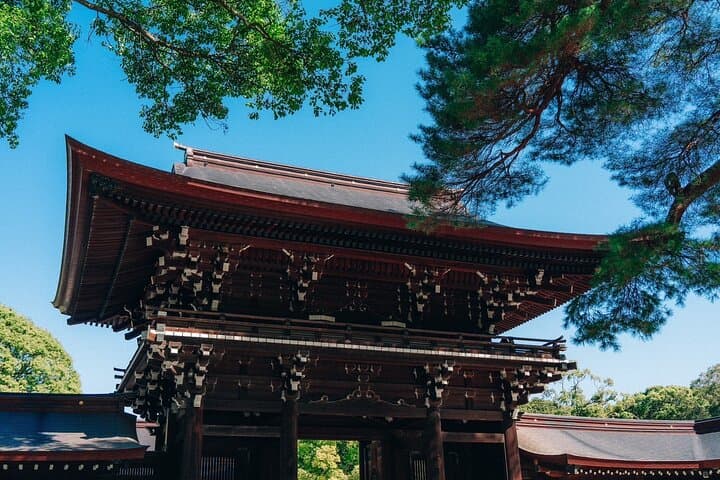 Tokyo Early Morning Tour Asakusa Meiji Shrine (Private Opt) — photo 17
