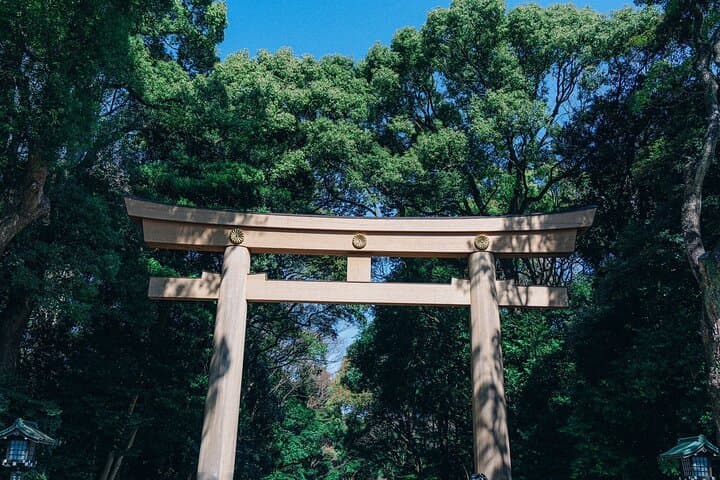 Tokyo Early Morning Tour Asakusa Meiji Shrine (Private Opt) — photo 3