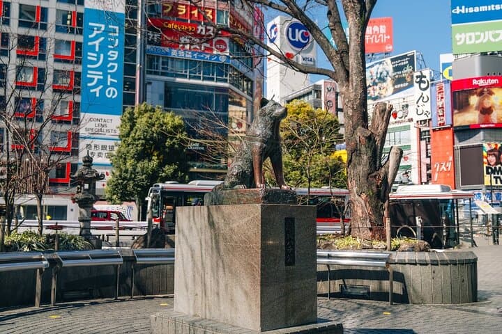 Tokyo Early Morning Tour Asakusa Meiji Shrine (Private Opt) — photo 8