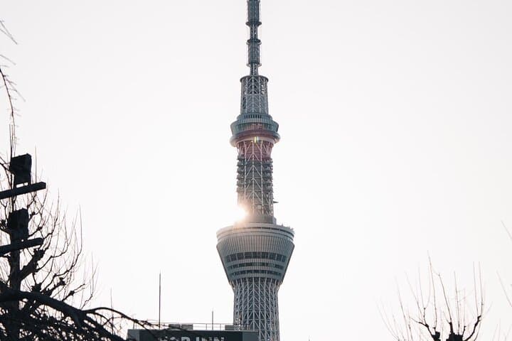 Tokyo Early Morning Tour Asakusa Meiji Shrine (Private Opt) — photo 9