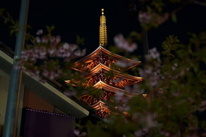 Asakusa Night Evening Walking Tour with English-Speaking Guide — photo 3