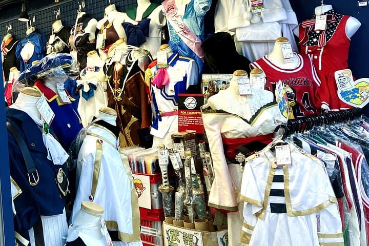 Dive Deep into Anime & Manga Culture & Karaoke in Nakano — photo 3
